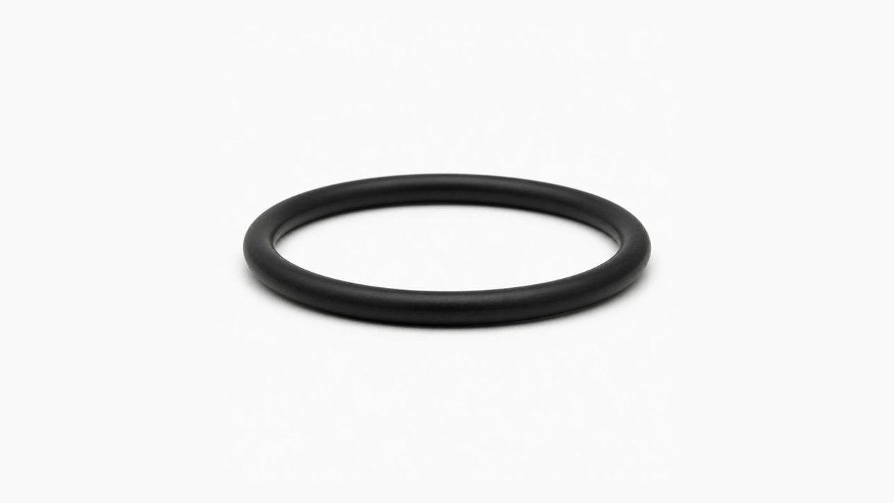 ExLAST® FFKM-O-Ring in Schwarz (75 Shore A) der Steinbach GmbH